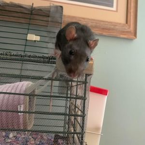 Meet your Posher, Christi